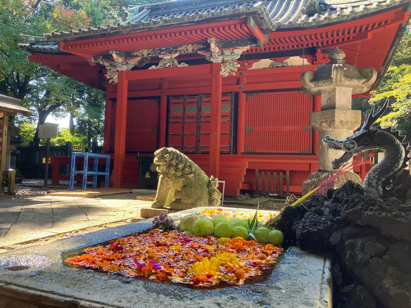 仙波東照宮 ｜ 埼玉県の神社