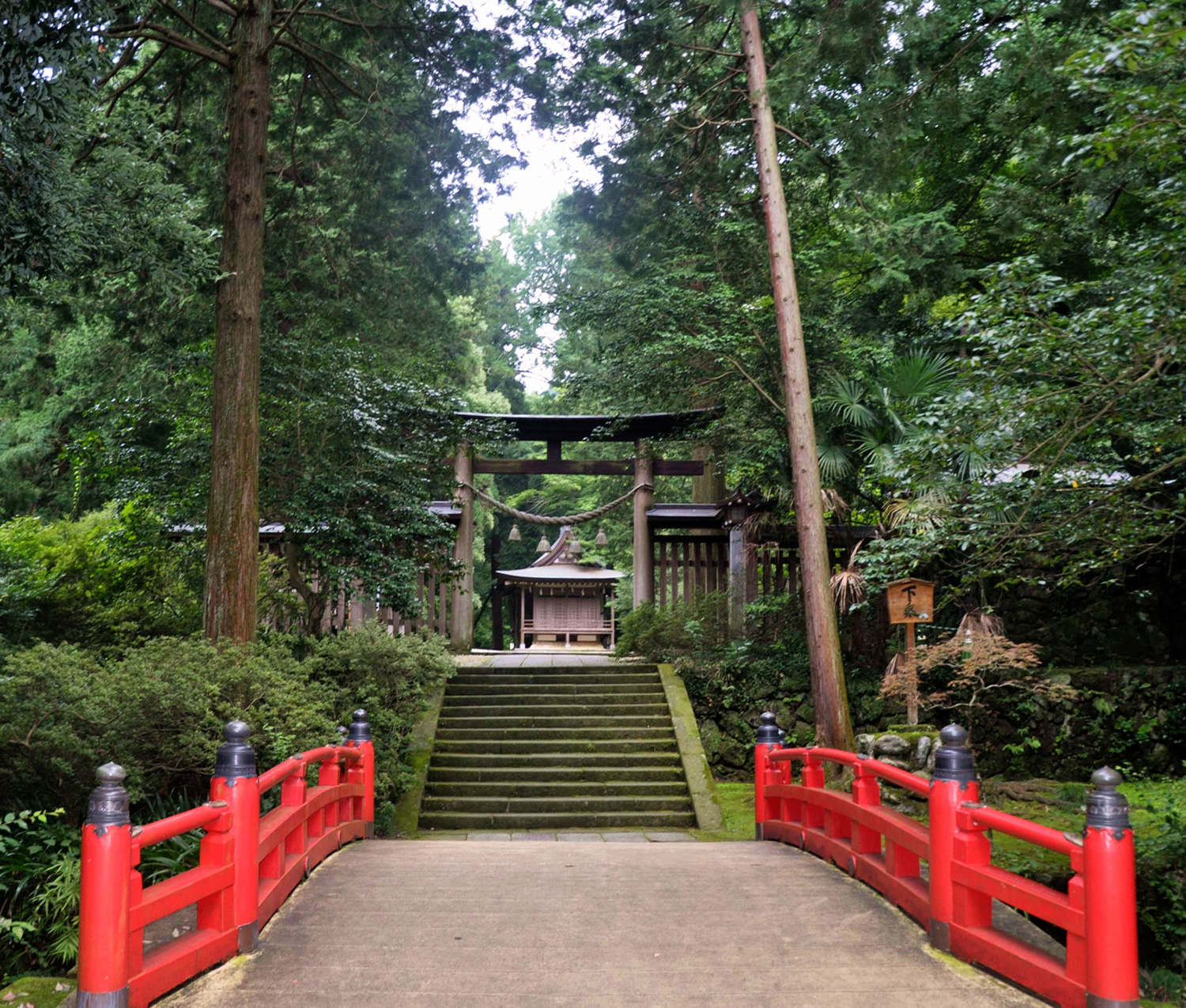 鎮守の森 埼玉県の神社